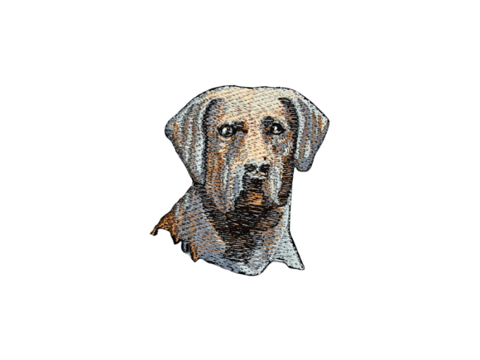 Chesapeake Hund - Patch Mærke
