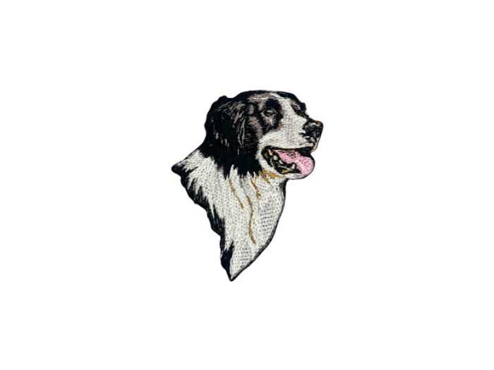 Border Collie Hund - Patch Mærke