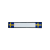 Hvid
