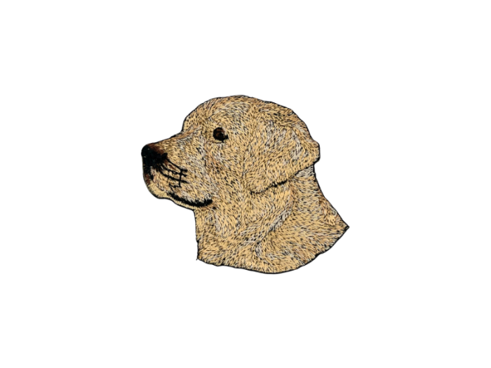 Golden retriever Hund - Patch Mærke