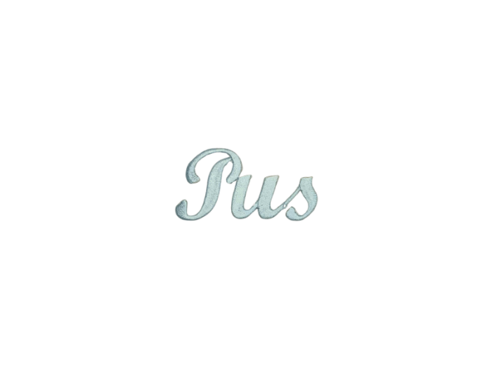 Pus ( Tekst ) - Patch Mærke