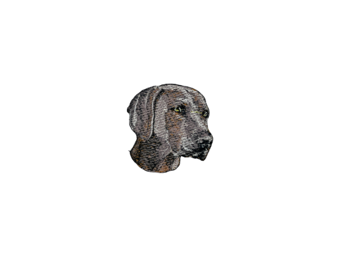 Weimaraner Hund - Patch Mærke
