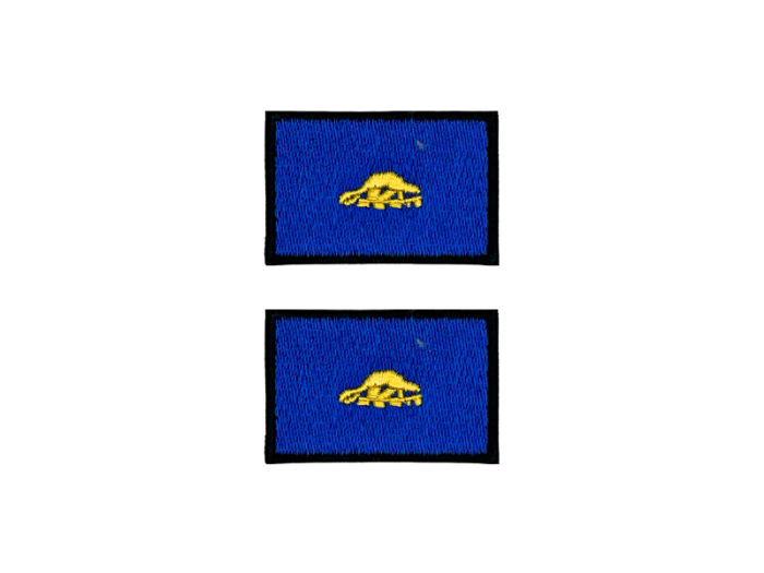 Oregon Back USA State Med Sort Kant 4,5x3cm 2 stk. Pak – Patch Mærke